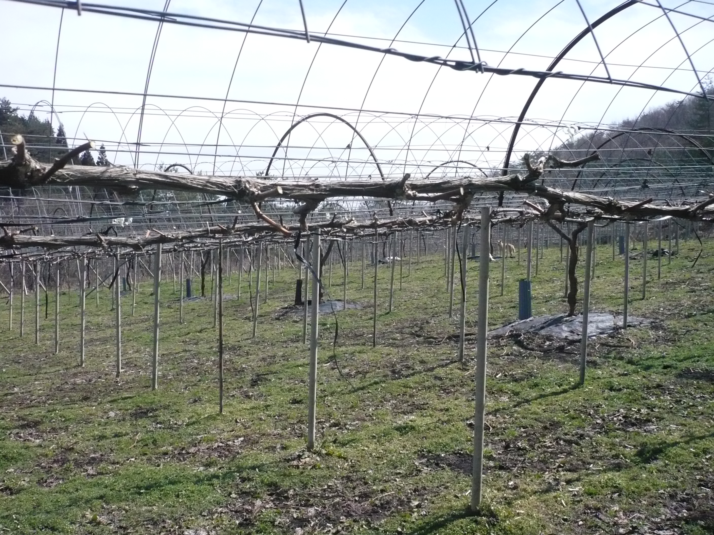 P1030027.JPG