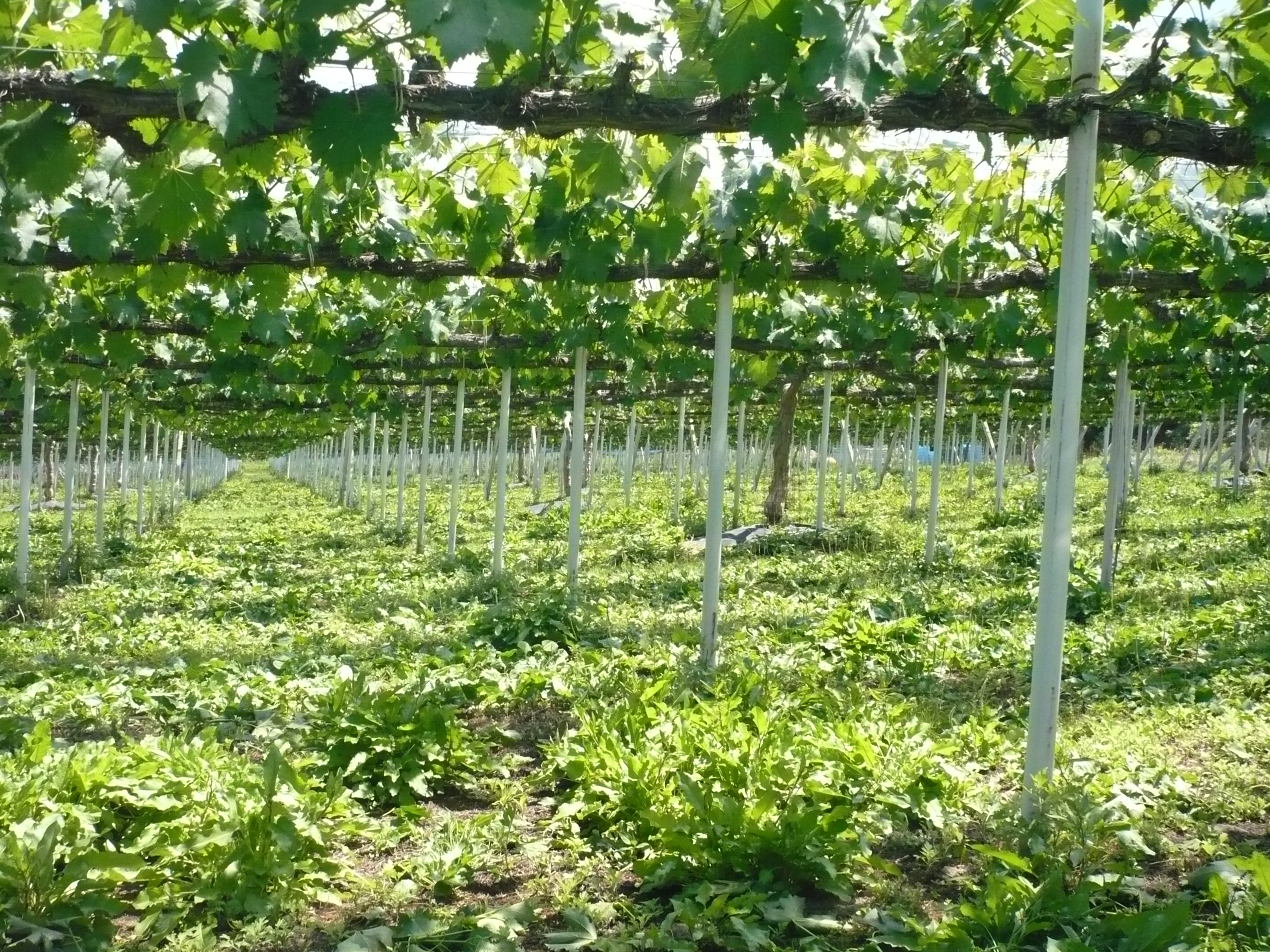 P1030246.JPG