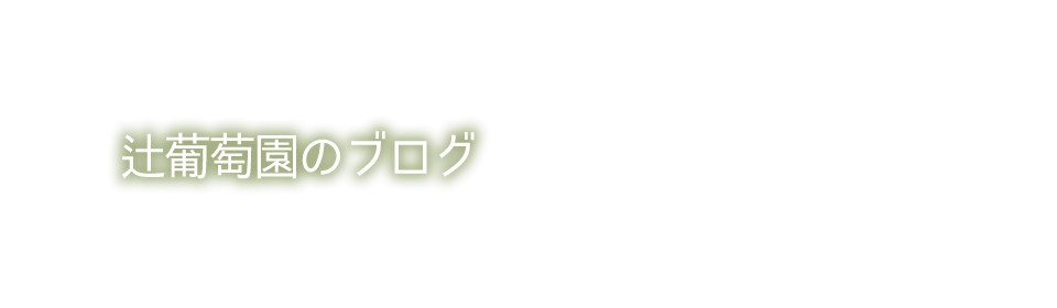 辻葡萄園のブログ