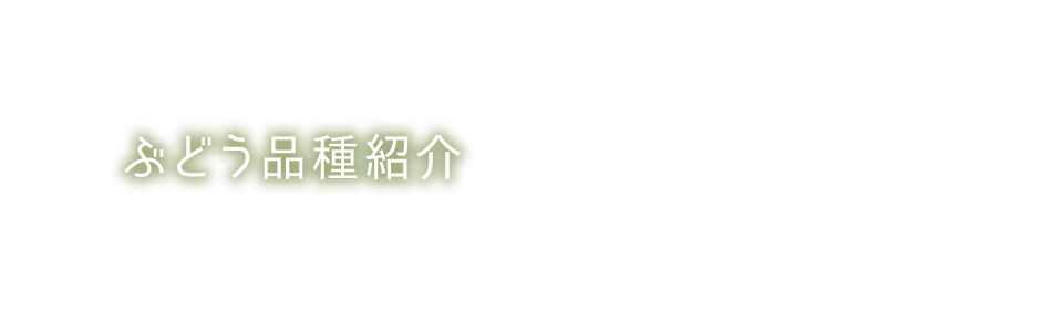 ぶどう品種紹介